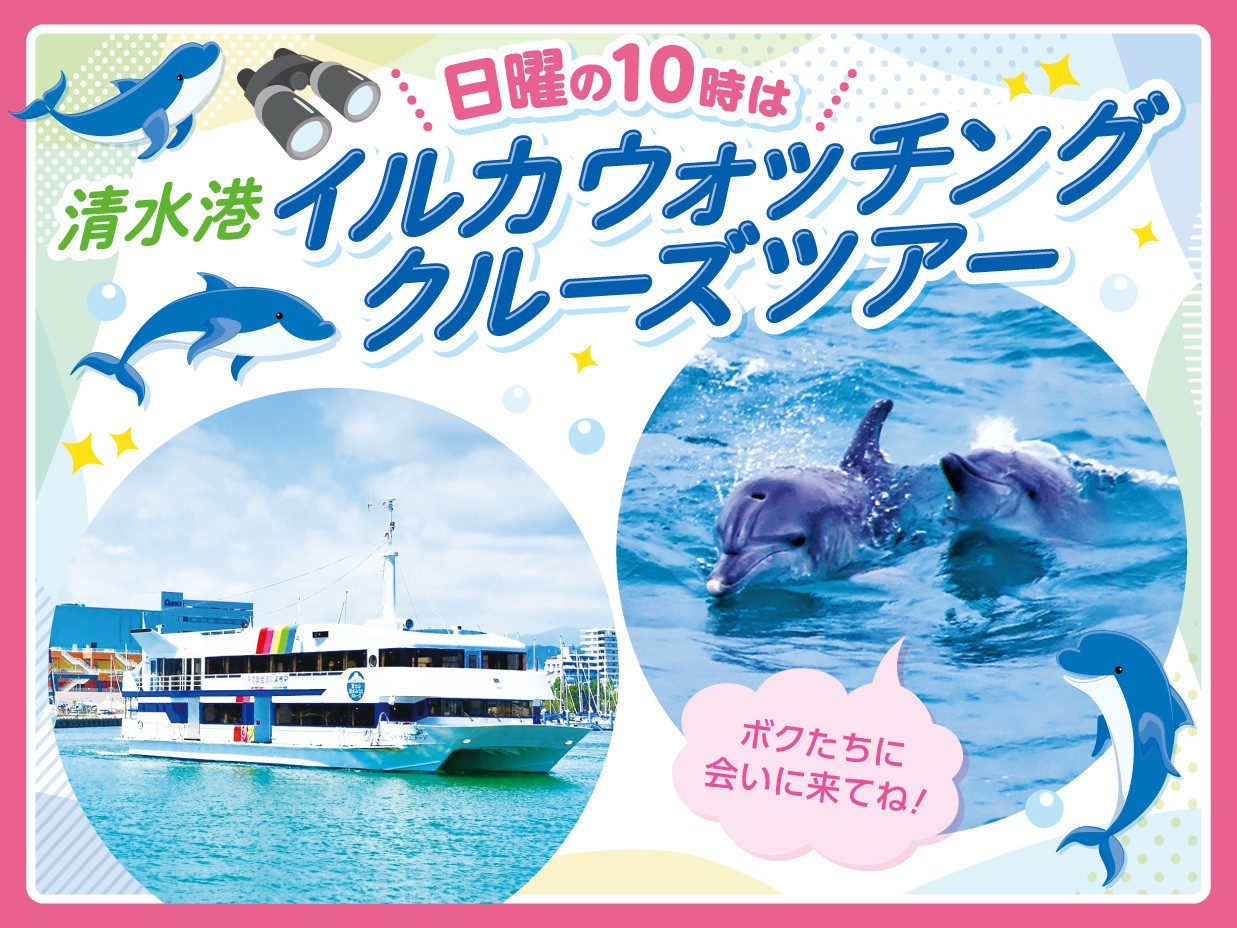 日 日曜日の朝は 清水港イルカウォッチングクルーズツアー 全国旅行支援地域クーポン対象商品です イベント 富士山清水港クルーズ株式会社 富士山を海の特等席で