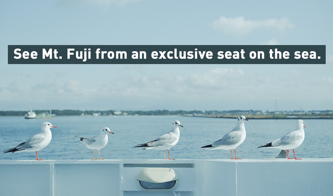 See Mt. Fuji from an exclusive seat on the sea.